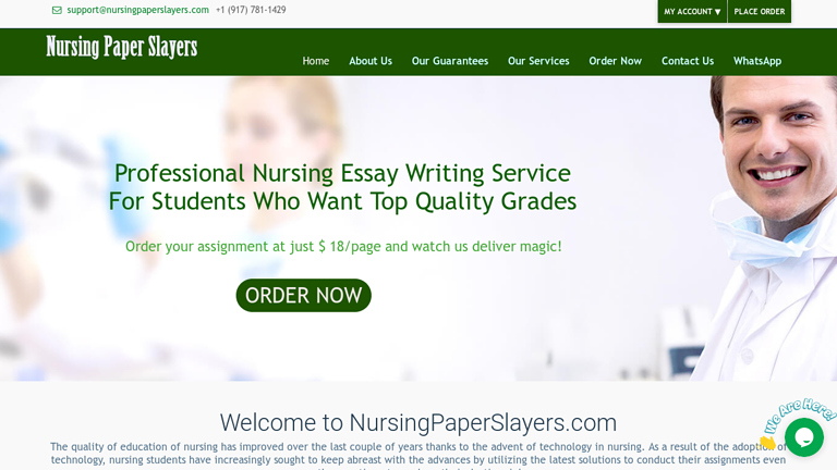 NursingPaperSlayers.com review