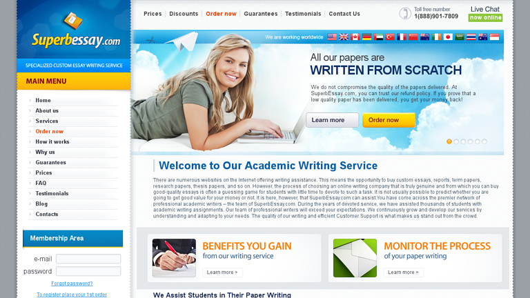 Describe your artwork essay image